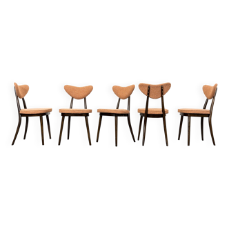 Lot de 5 chaises n° 124 par H & J Kurmanowicz, Pologne, années 1950