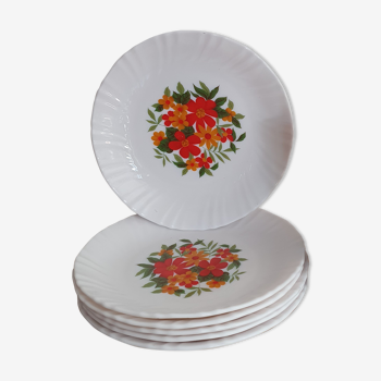 6 Arcopal dessert plates