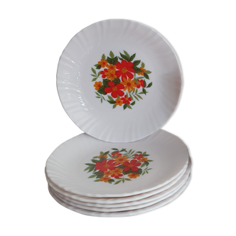 6 Arcopal dessert plates