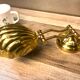 Vintage shell bedside lamp design 80 brass solid