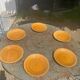 6 flat plates slip, enamelled ceramic ochre, mustard yellow, stamped Gien