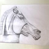 Illustration Cheval