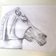 Illustration Horse