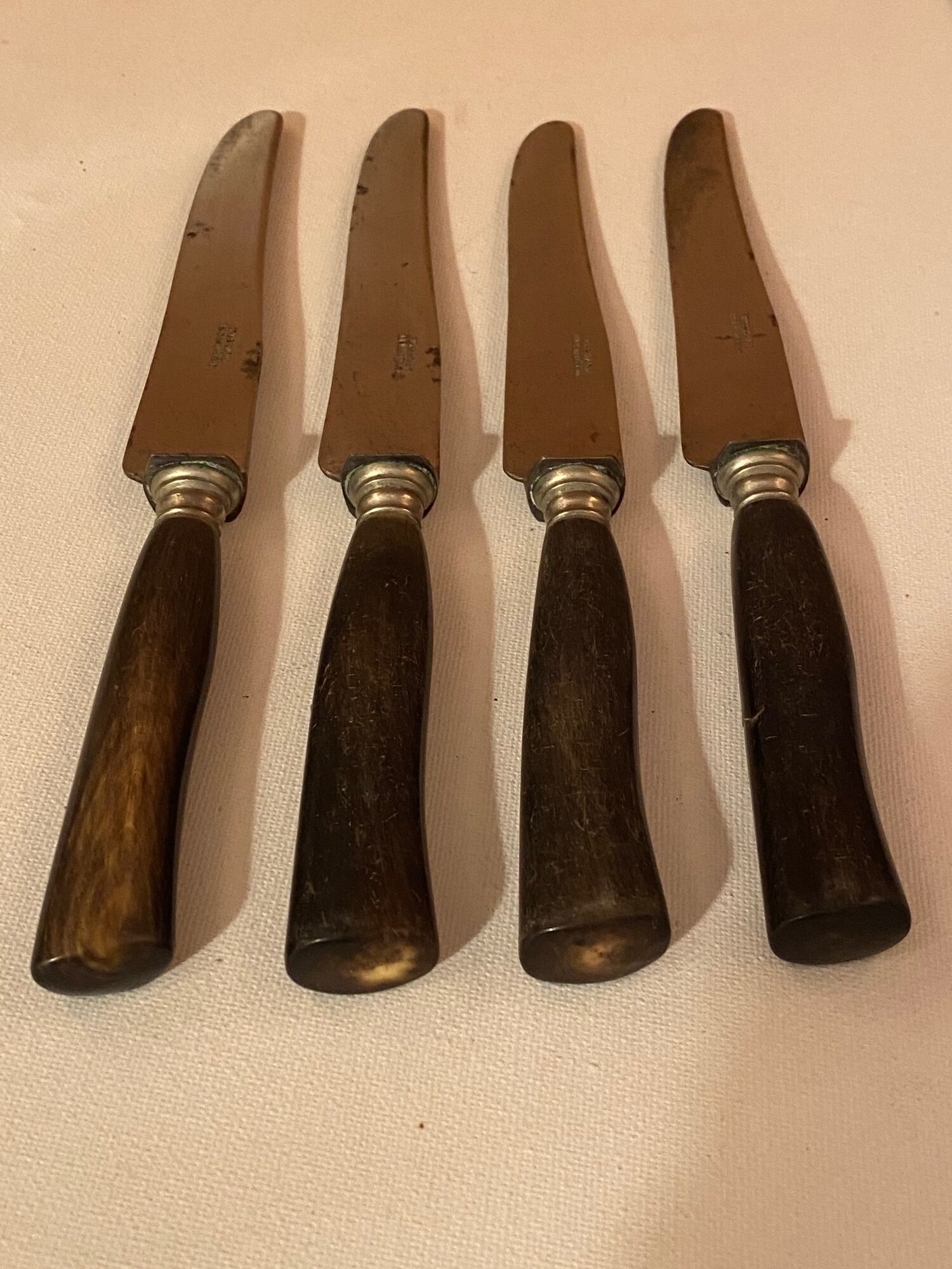 Series of 10 knives, horn sleeves and steel blades