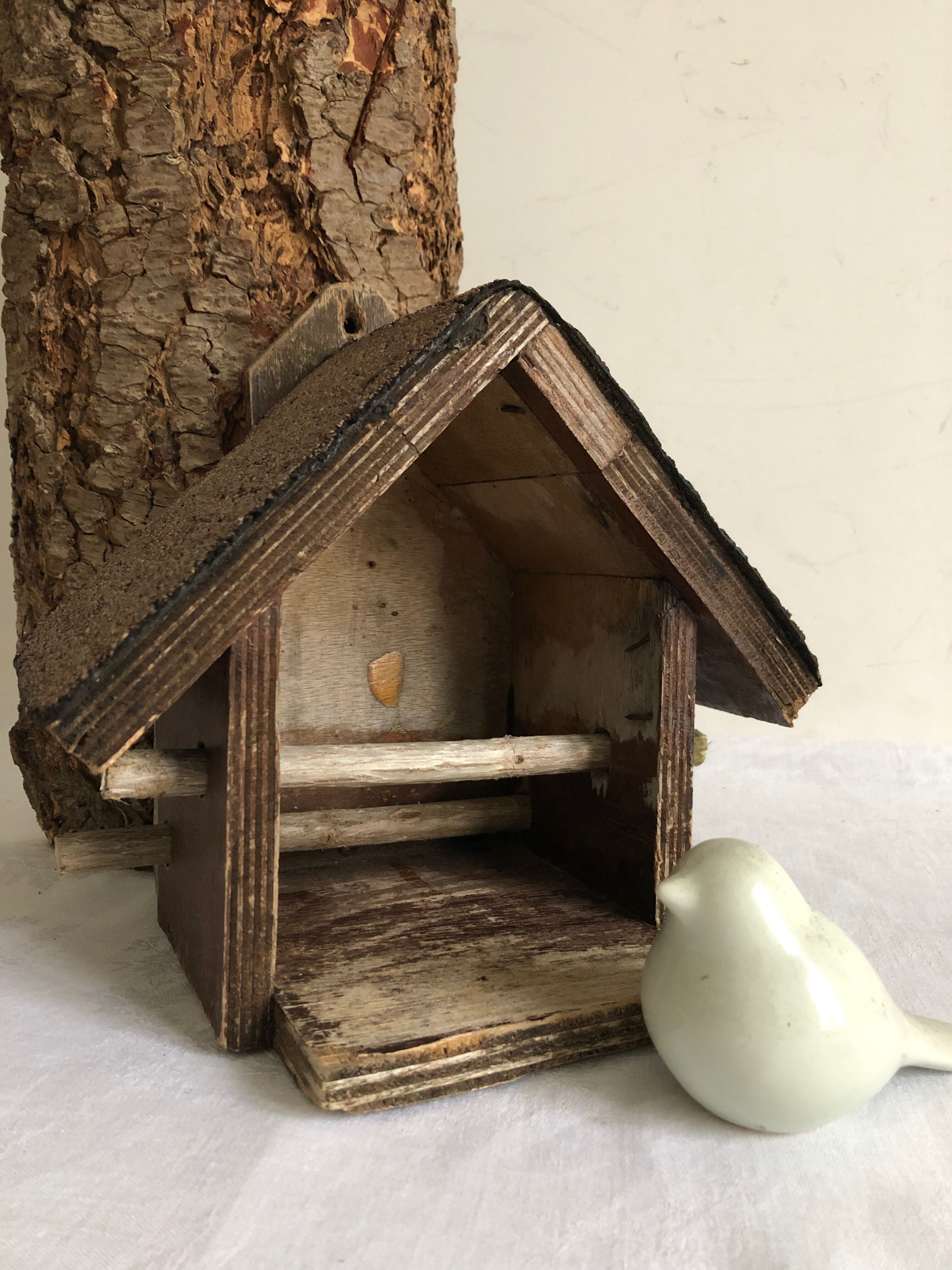 Bird feeder, garden in winter