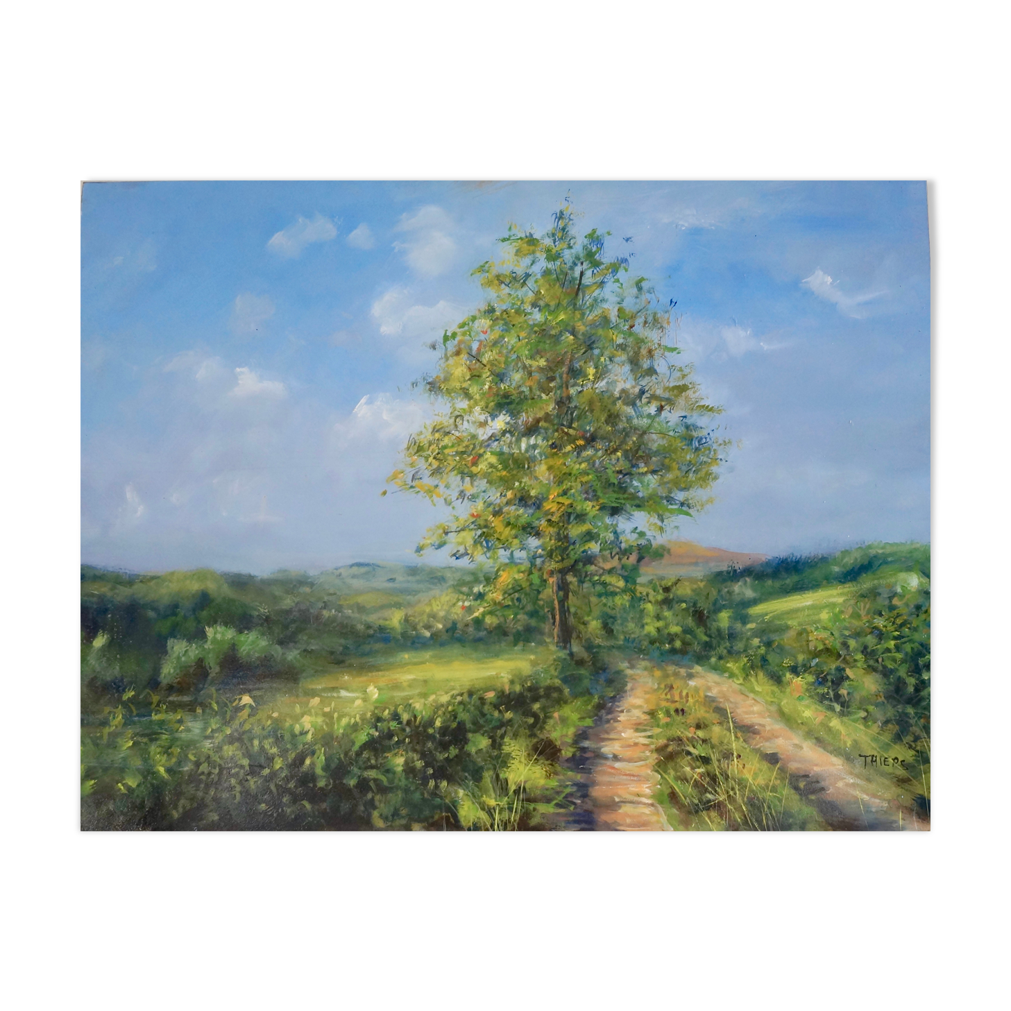 Daniel Thiers, Path on the Top of the Ark