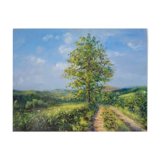 Daniel Thiers, Path on the Top of the Ark