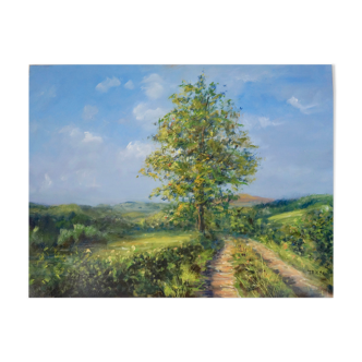Huile, paysage, Chemin sur le haut de l'arche by Daniel Thiers