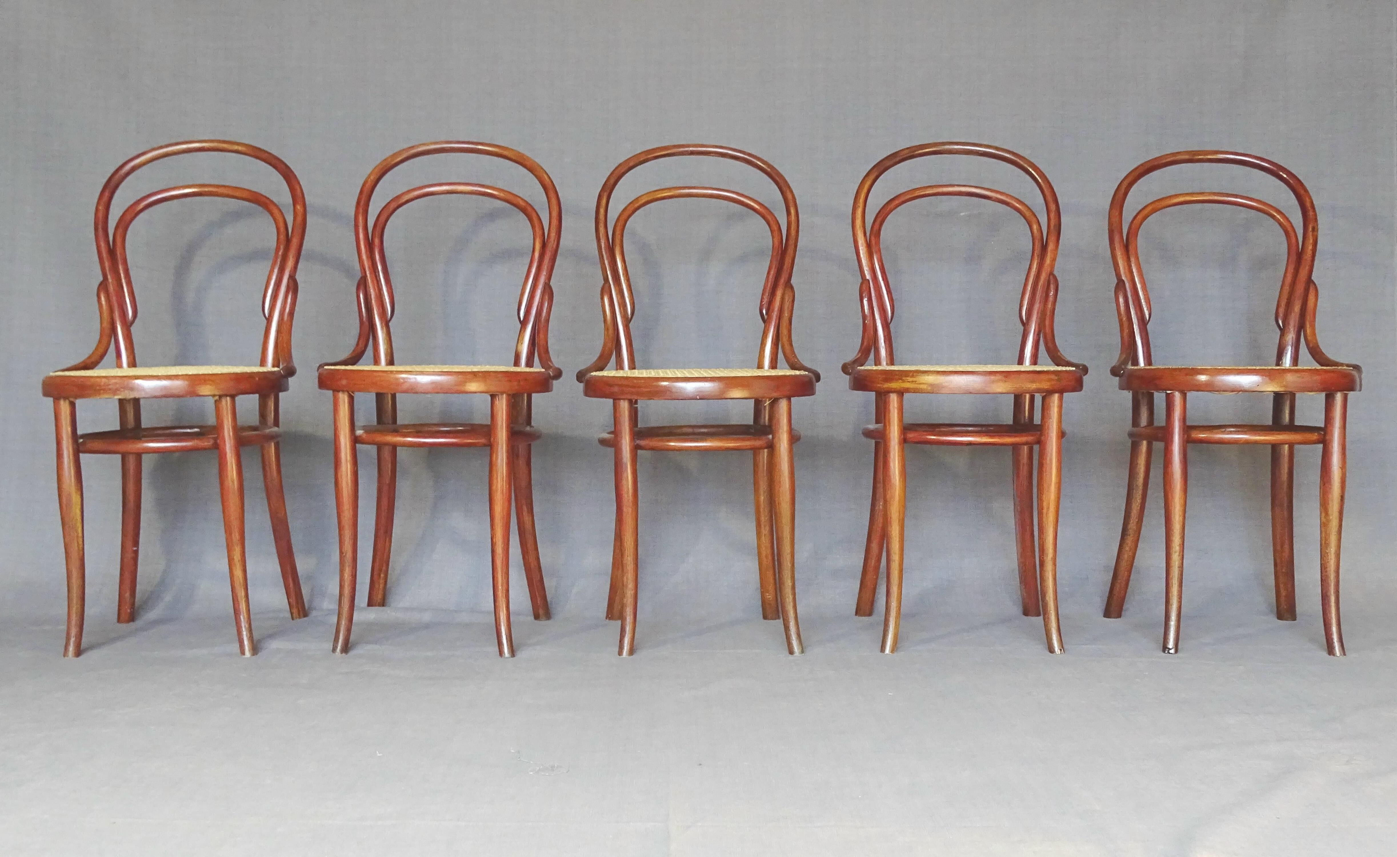 Lot de 5 chaise Thonet bistrot N°14 1/2 cannées