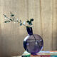 Purple vase inclined