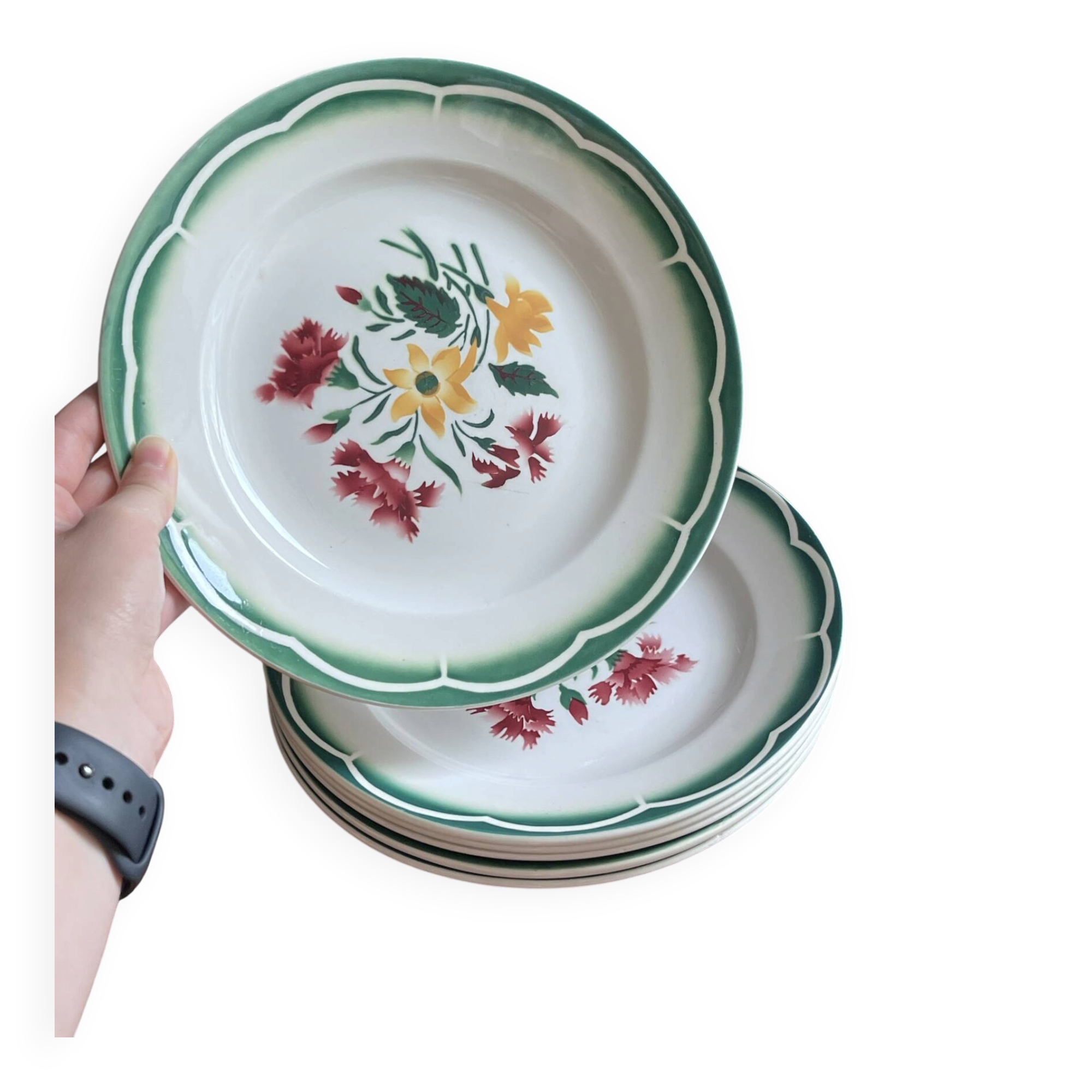Lot de 6 assiettes sarreguemines et digoin collection esper
