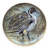 Decorative plate Limoges Water Birds