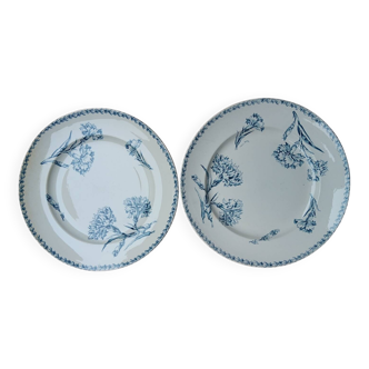 Dishes