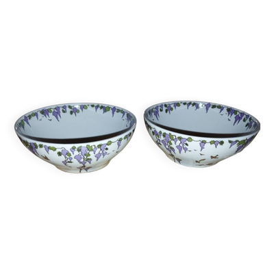Paire de bols Villeroy & Boch – Décor floral – État parfait