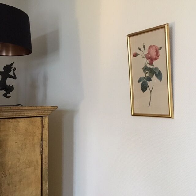 Planche botanique encadrée avec rose