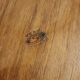 Empty pocket in Danish teak 1960
