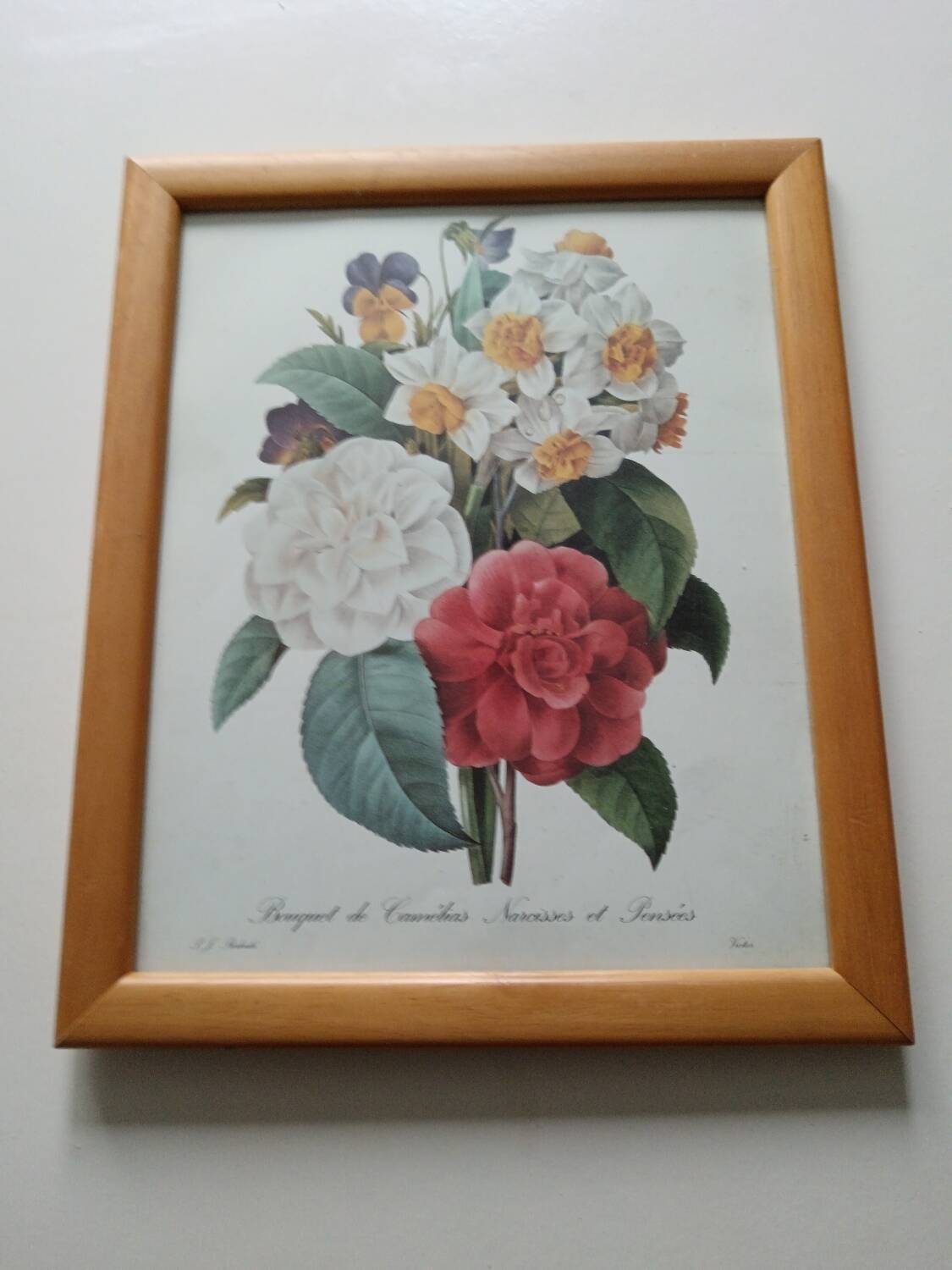 Vintage botanical illustration reboute.