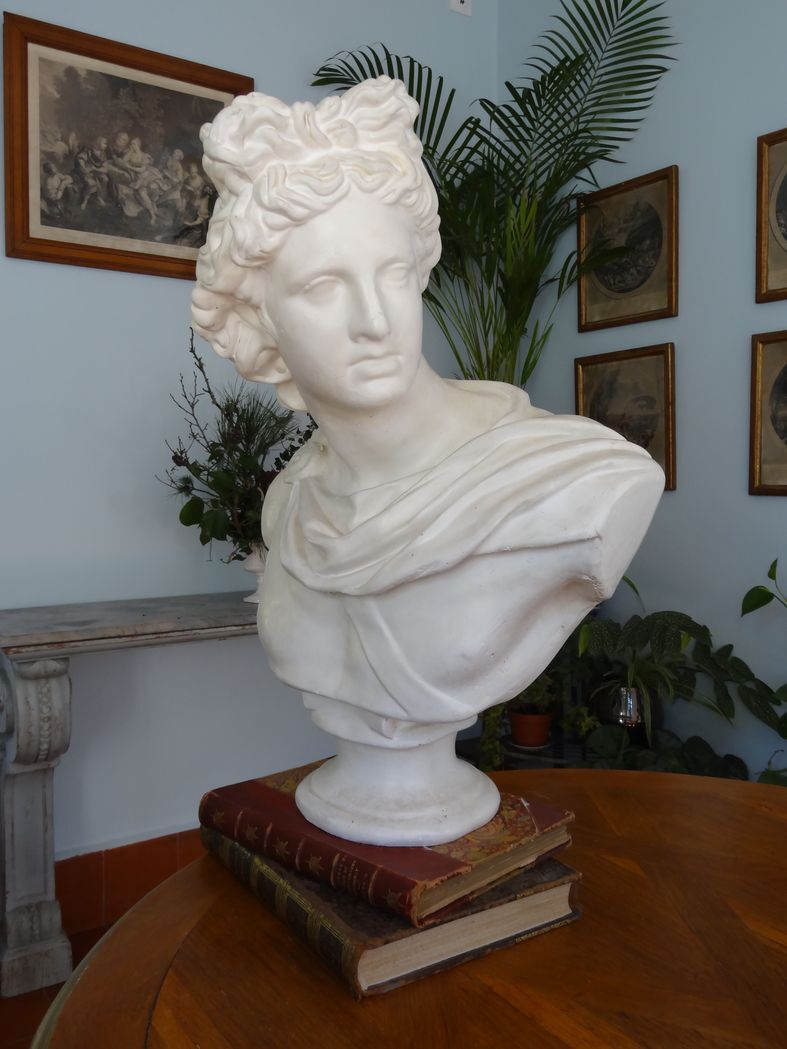 Plaster bust in the antique Apollo of the Belvedere, 70 cm