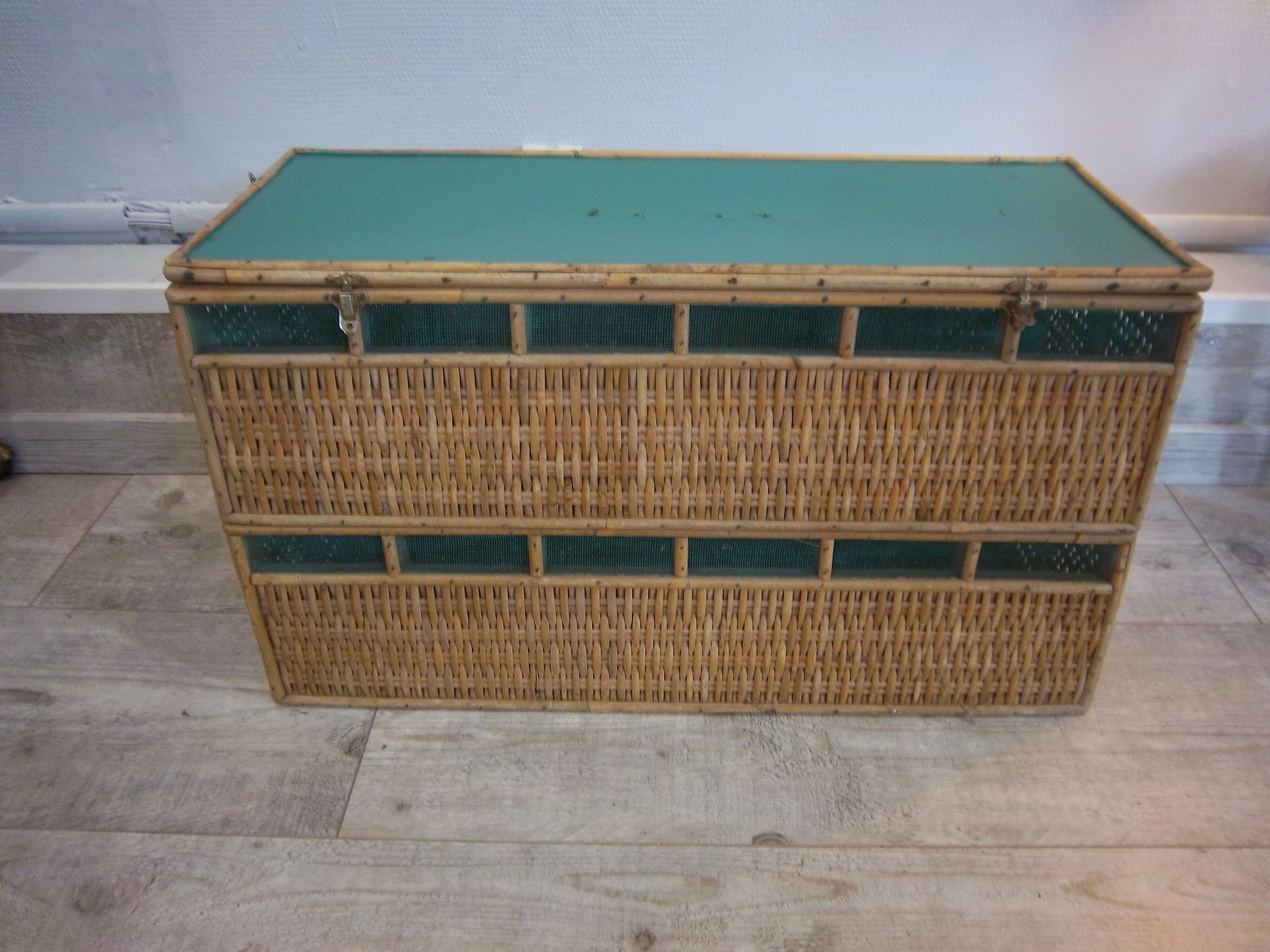 Trunk of 1950 rattan for transport of pigeons