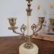 Pair of candelabra / chandeliers Louis XVI