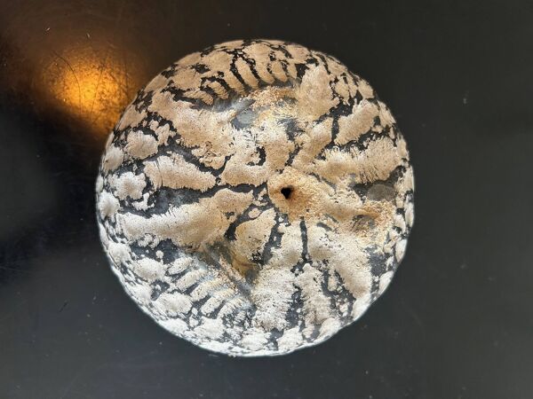 ensemble de jardinières en ciment 1950