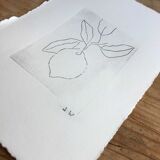 Lemon engraving