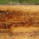 Rustic kneading trough in solid oak, removable lid and base.