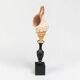 Sea snail shell Fasciolaria Trapezium on a turned wooden base