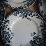 6 Marie Louise flat plates