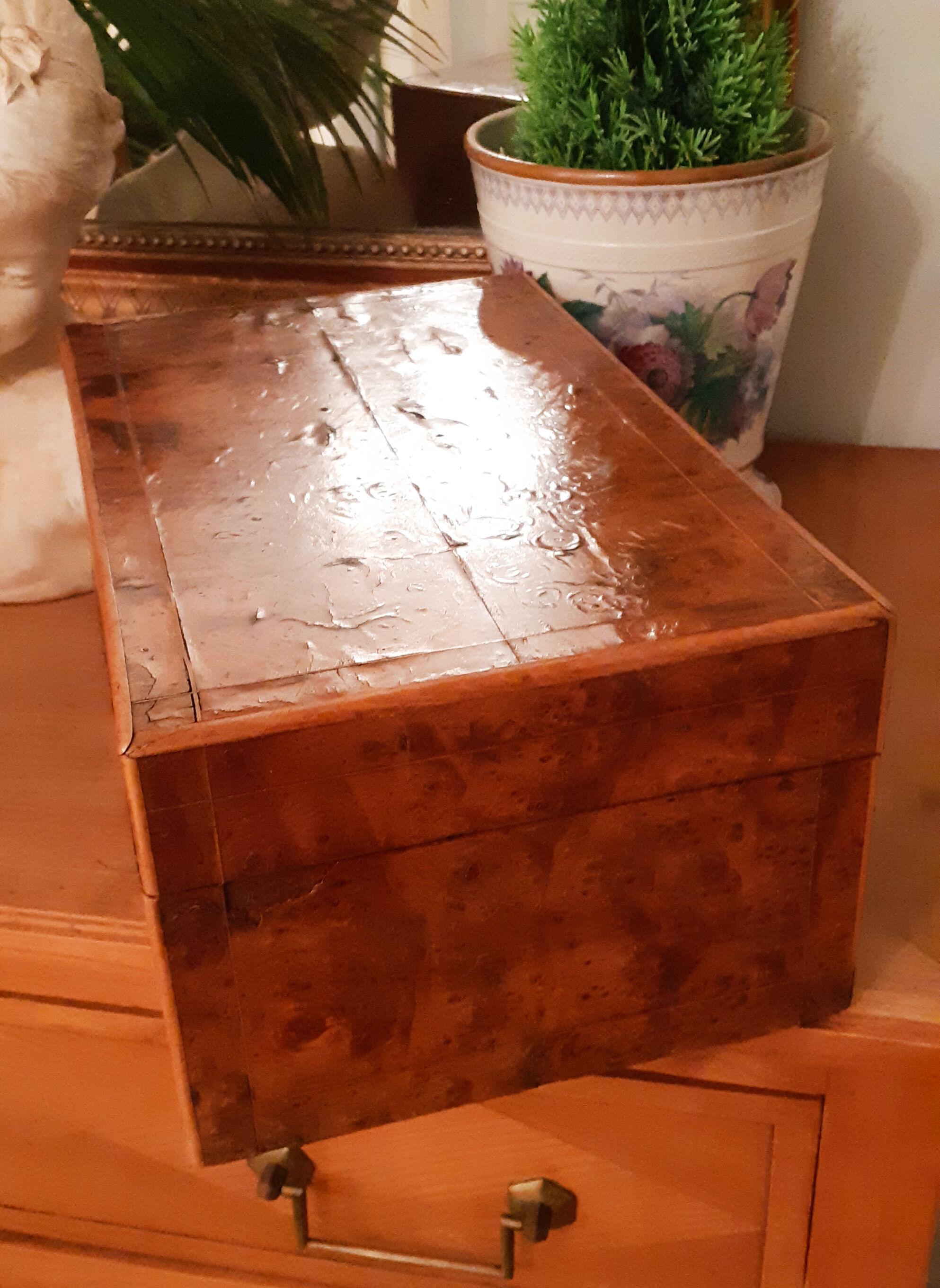 Napoleon III elm magnifying glass box