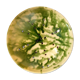 Yellow and green ceramic drain plate