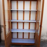 Ancient parisian oak library