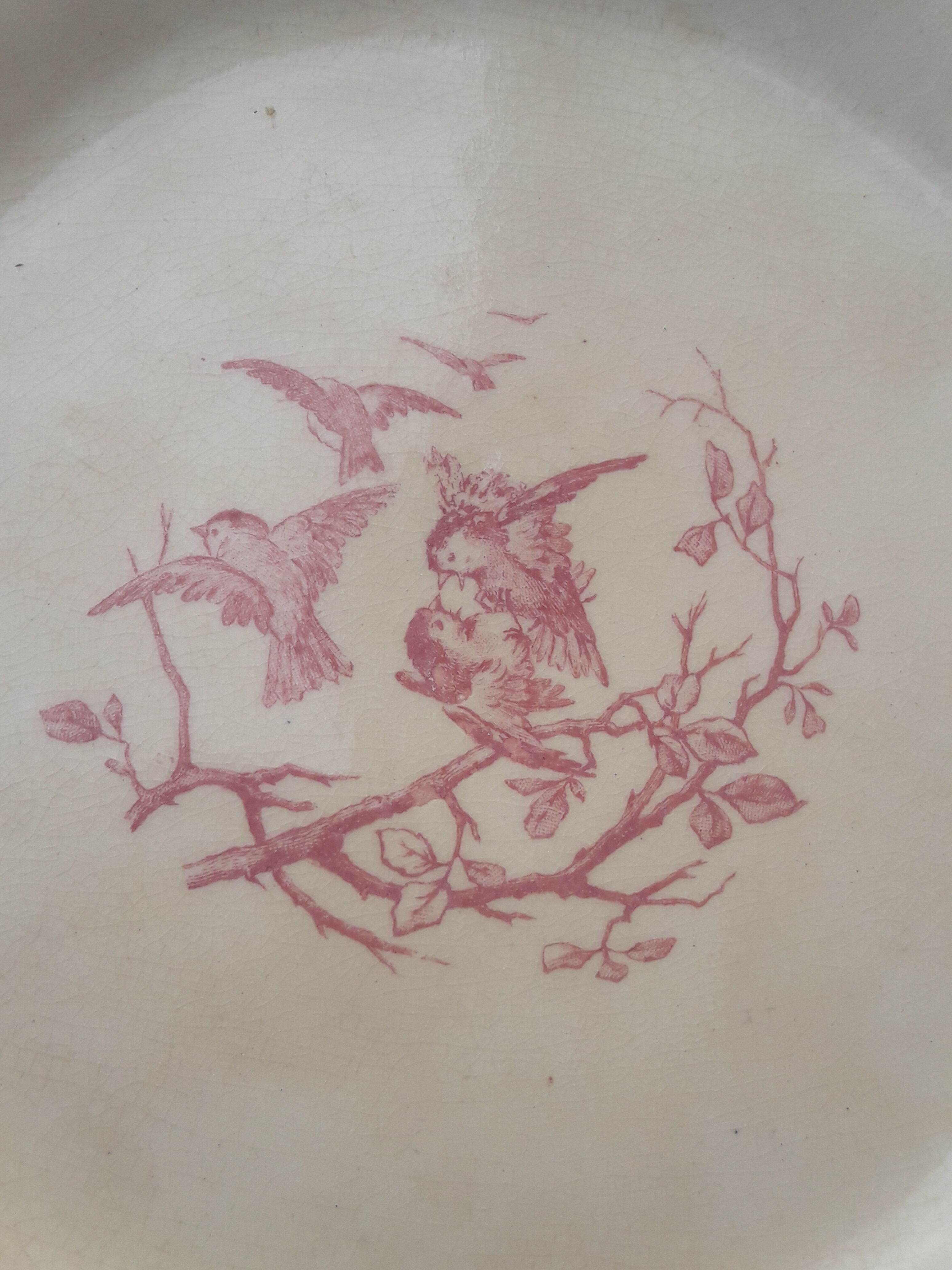 Assiette en porcelaine opaque de Gien  modèle Aviary diam 22,5 cm XIX ème siècle