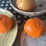 Set of 2 dishes and 2 plates in stoneware from the 70s and 80s