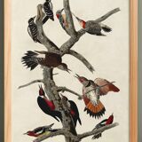 Poster about the peaks, based on an old engraving from 1827.