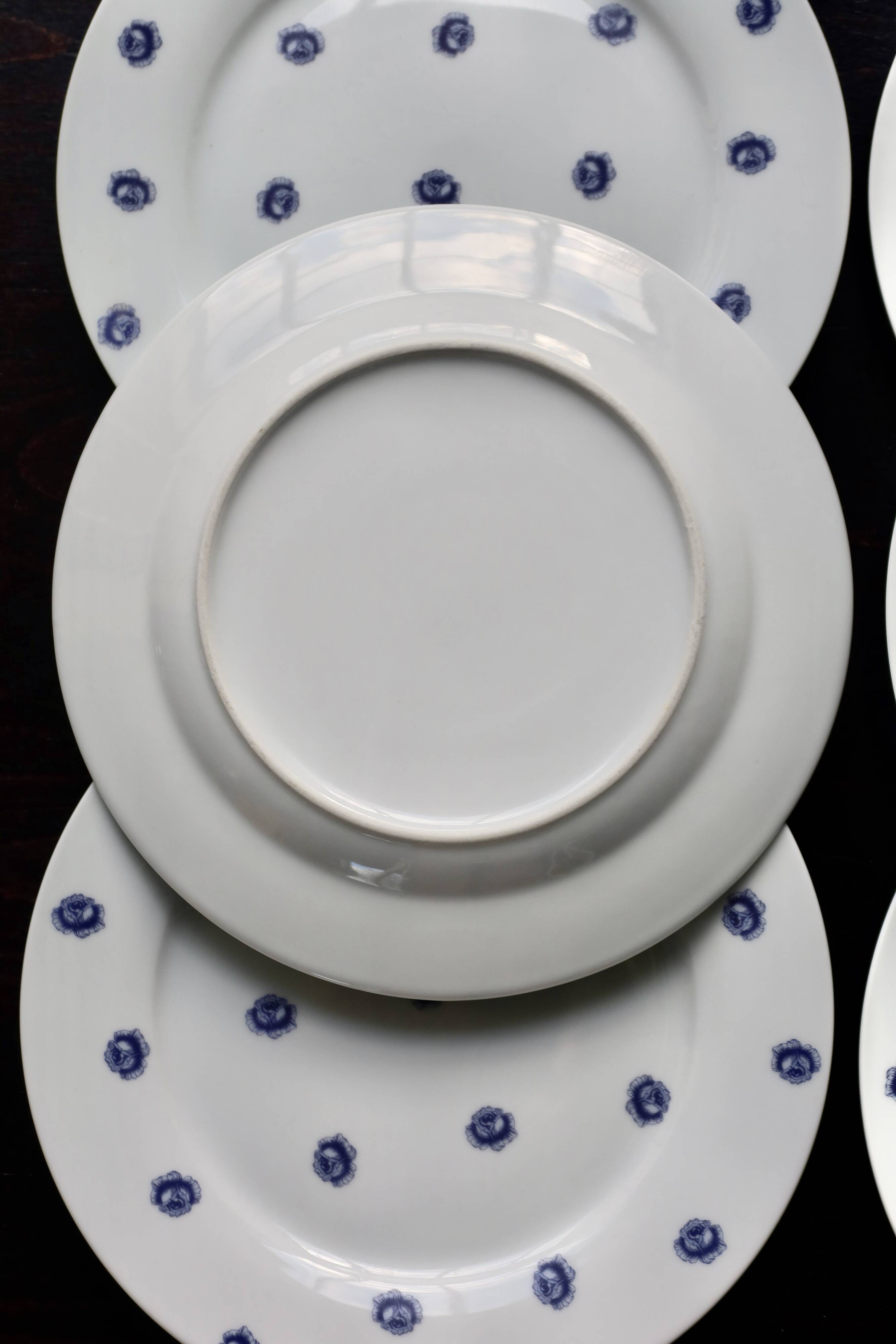 6 vintage white porcelain dinner plates with blue roses