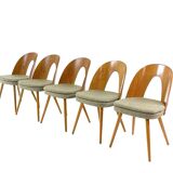 9 vintage designer dining chairs by Antonín Šuman for Tatra