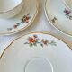 Vintage Digoin Sarreguemines tea set – Rope model – Bird of Paradise motif