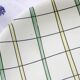 Set of 6 flat plates Salins, Yves pattern, vintage French