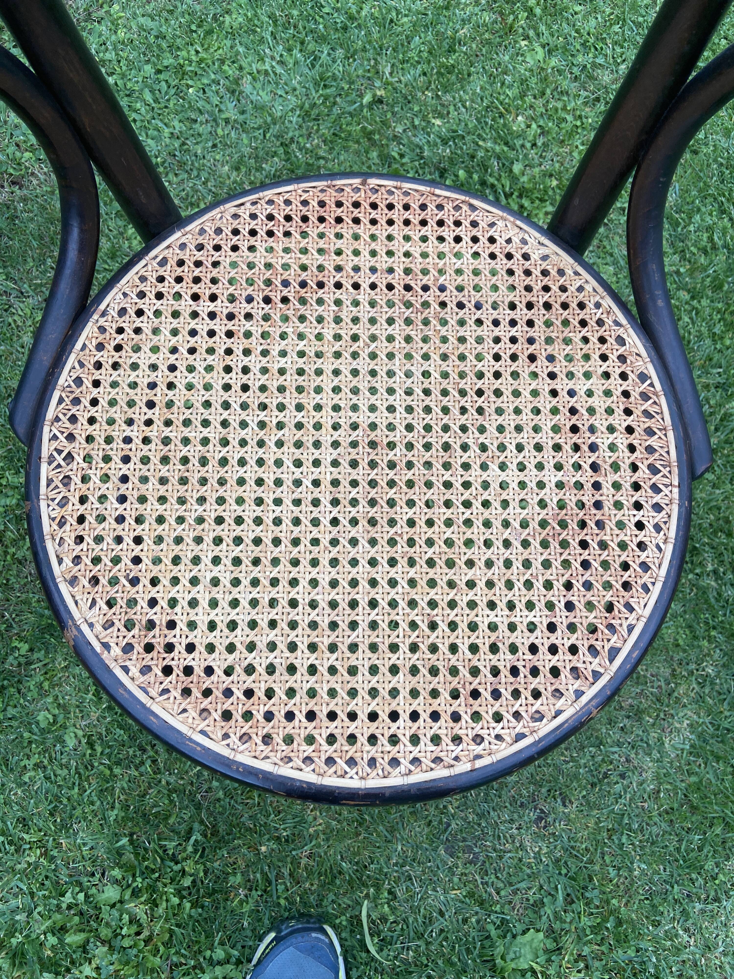 Viennese curved wood armchair FISCHEL circa 1920