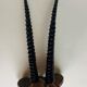 Gazelle horns on wooden support