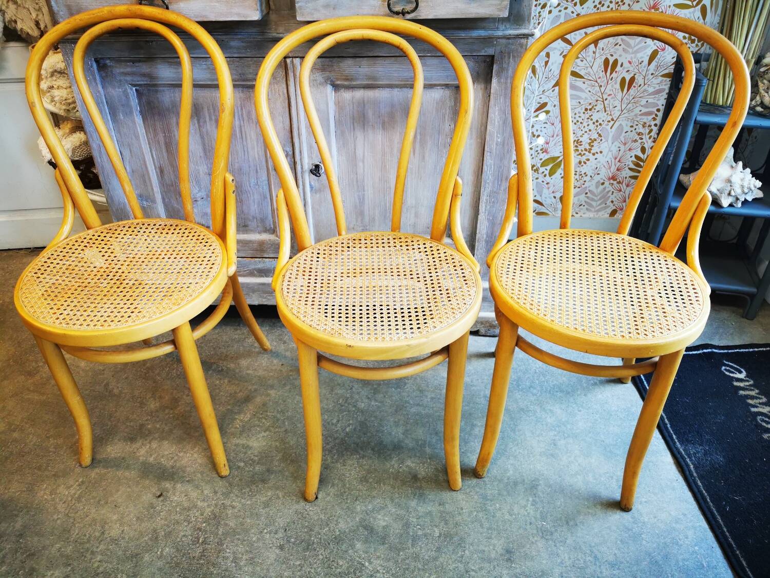 Lot trois chaise bistrot vintage miel de roseau cannage