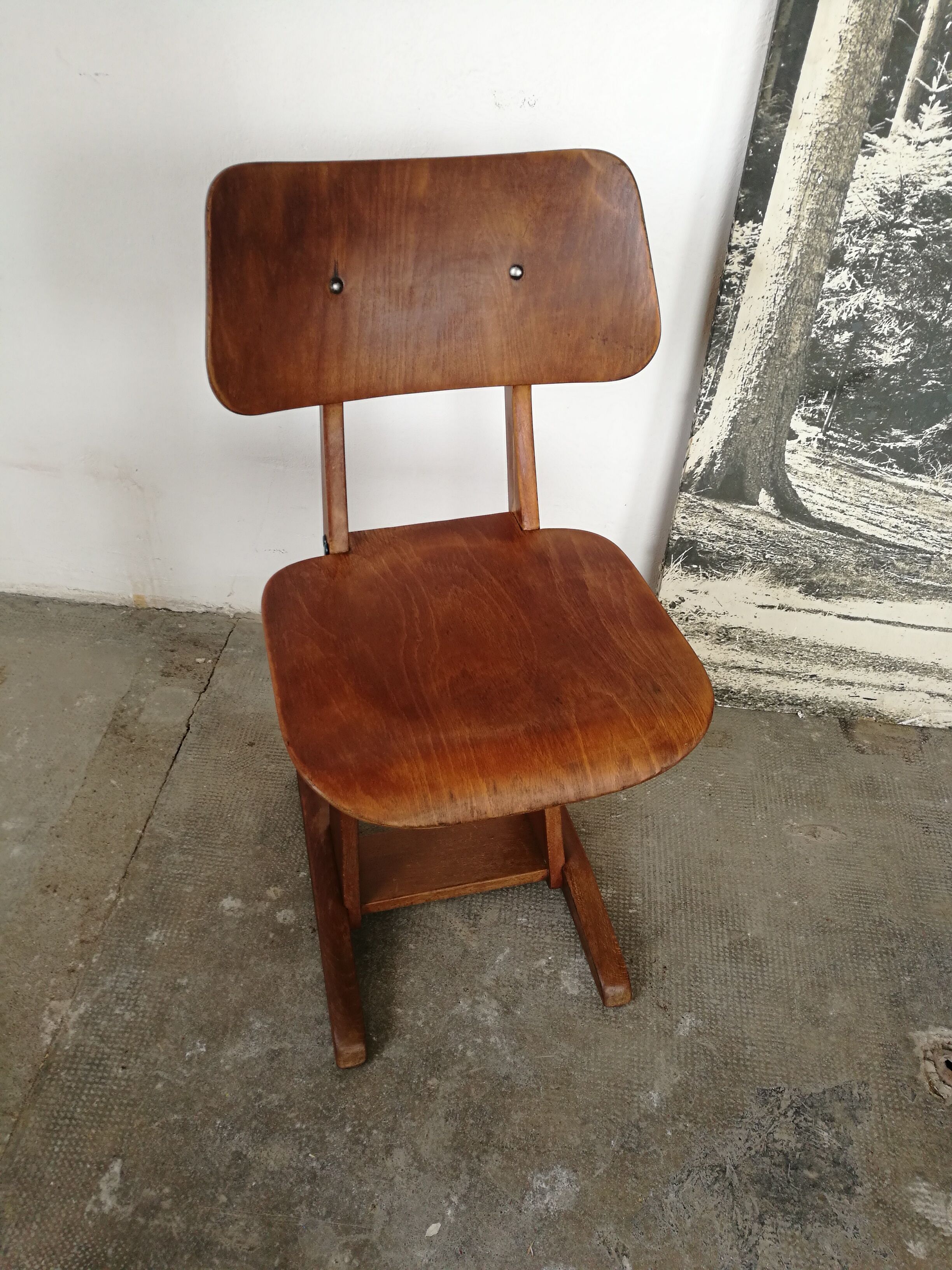 Adult Casala chair
