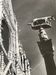 Old black and white silver photography early twentieth century
