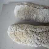 Pair of Fungia "shark cushion" corals