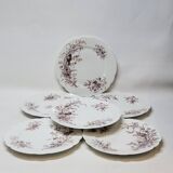 6 Superbes Assiettes Anciennes XIXème En Porcelaine Blanche Décor Oiseaux