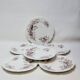 6 Superbes Assiettes Anciennes XIXème En Porcelaine Blanche Décor Oiseaux
