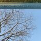 Large mirror Louis Philippe renovated. 151 x 106 cm
