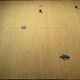 Tapis Gabbeh Kilim 200x135 cm