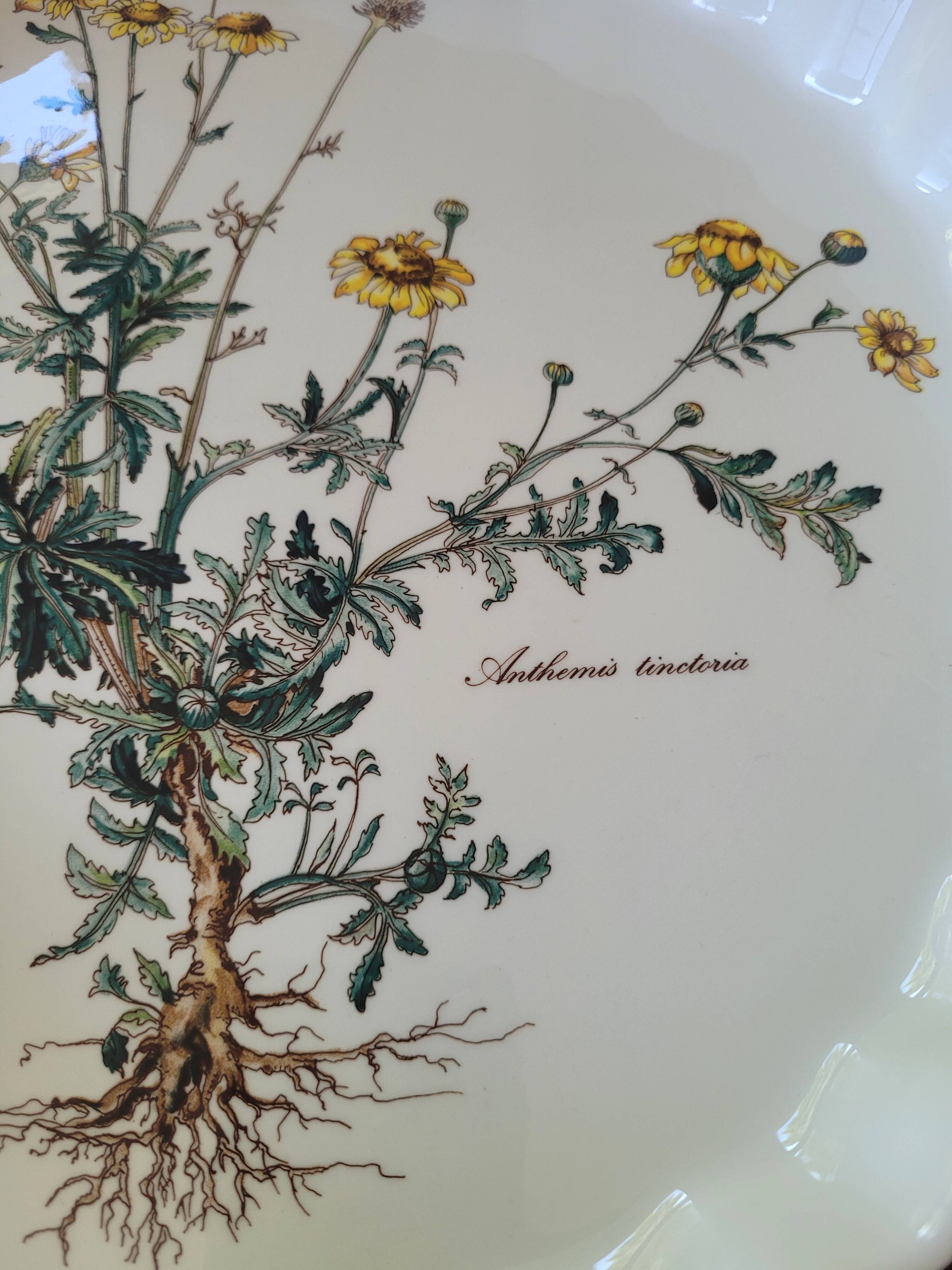 Villeroy & Boch "Botanica" porcelain tart dish